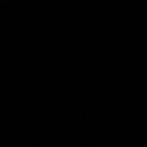 Meet your Posher, Jaynee